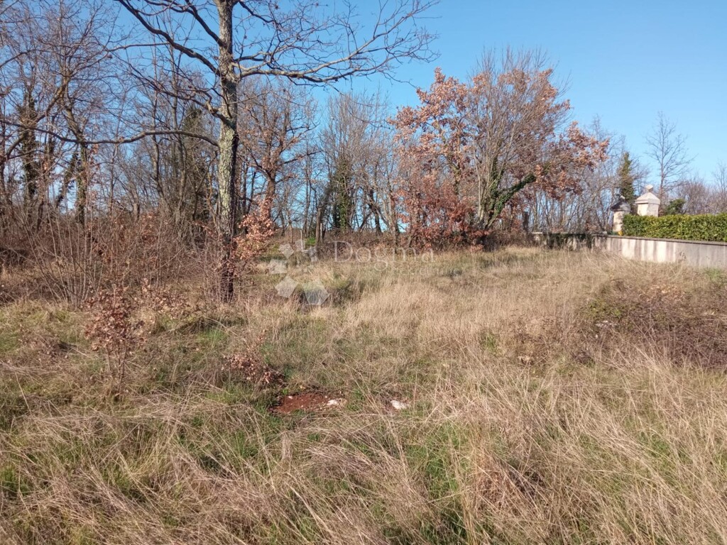 Image 6128317 - 3