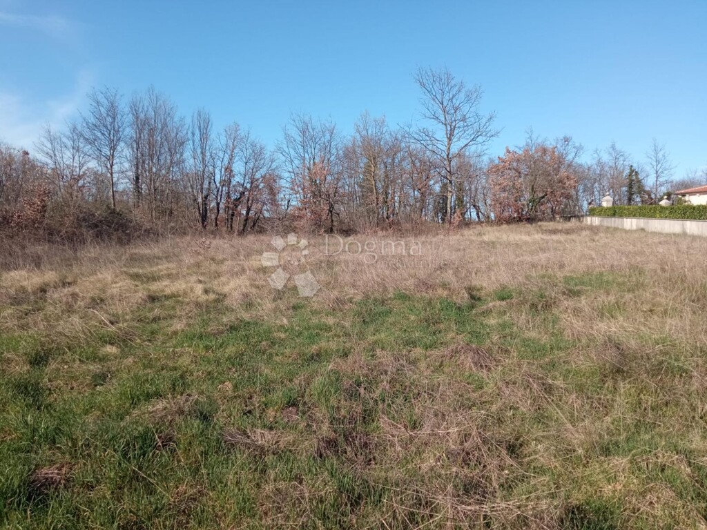 Image 6128317 - 2