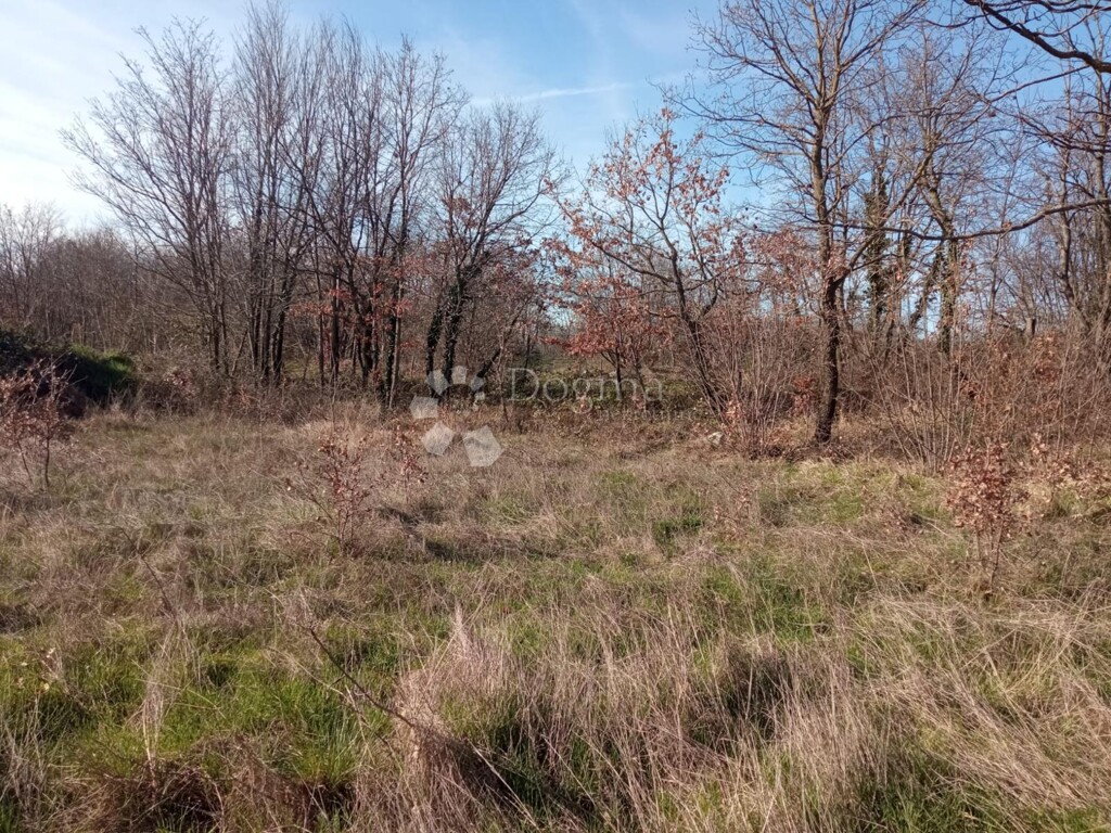 Image 6128317 - 4