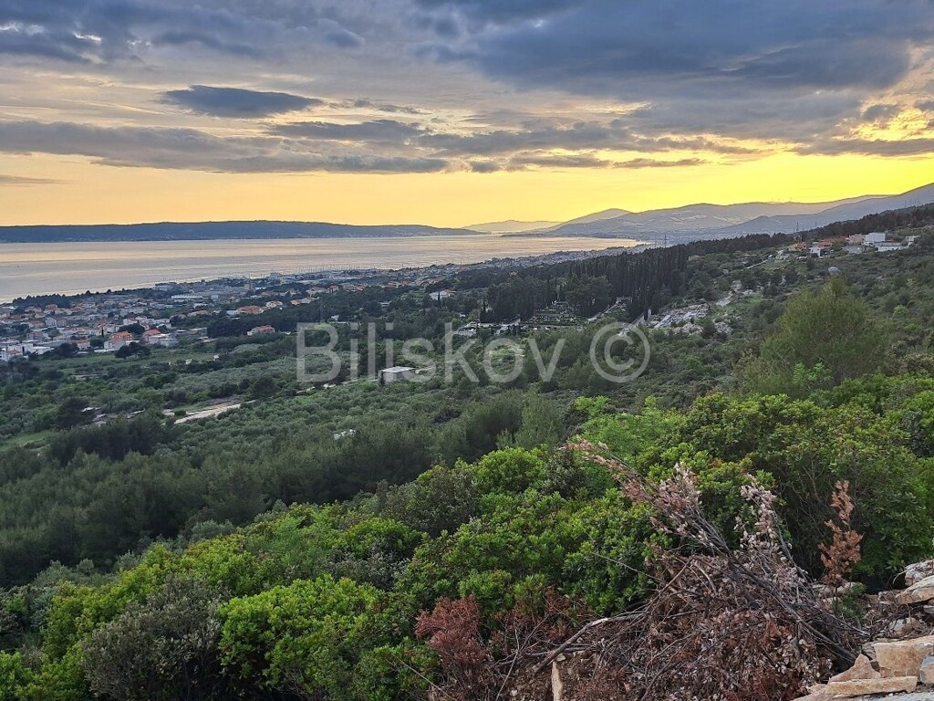 Image 6128444 - 4