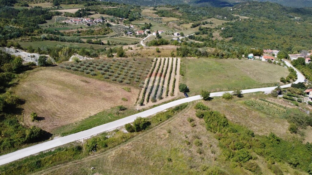 Image 6128540 - 3