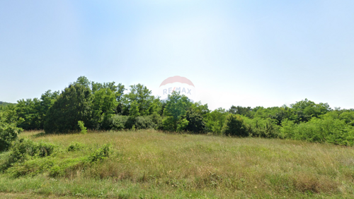 Thumbnail 6128547 - 2