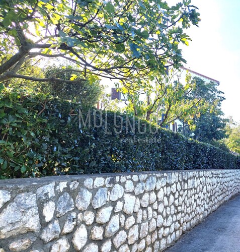 Thumbnail 6130262 - 5