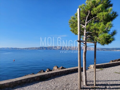 Thumbnail 6130262 - 18