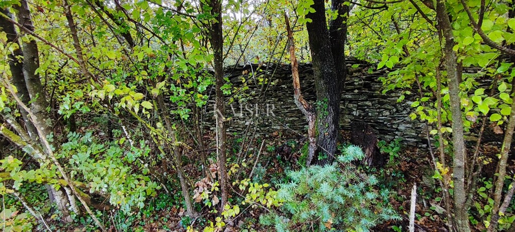 Image 6130267 - 1