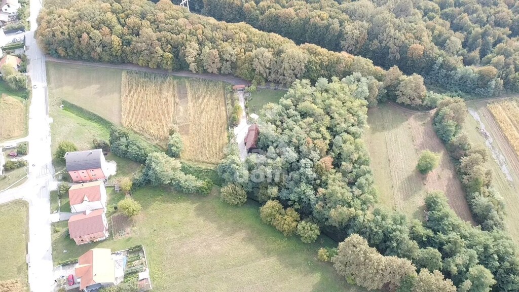 Image 6134917 - 2