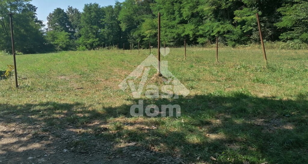 Image 6134917 - 6