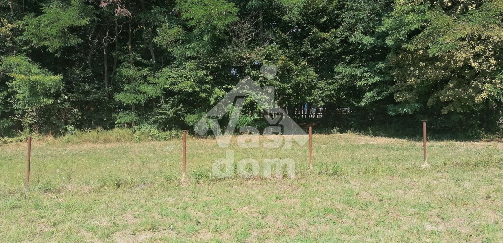 Image 6134917 - 4