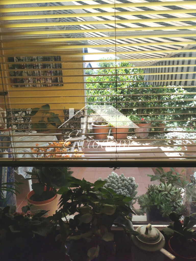 Image 6135564 - 7