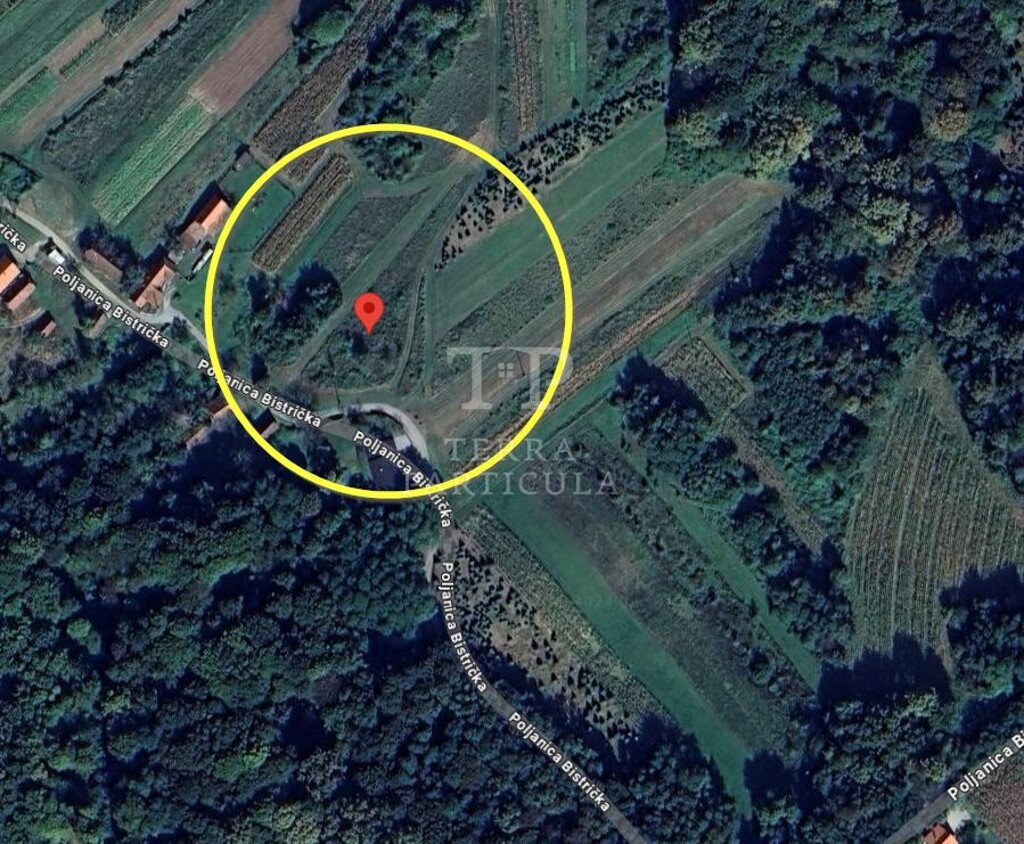 Image 6135681 - 1