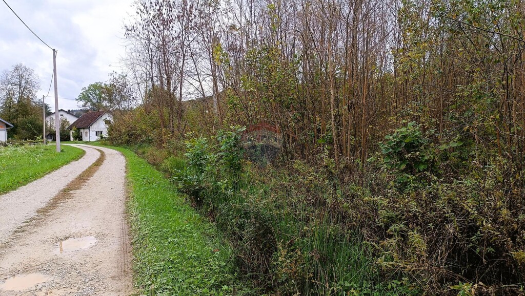 Image 6135860 - 6