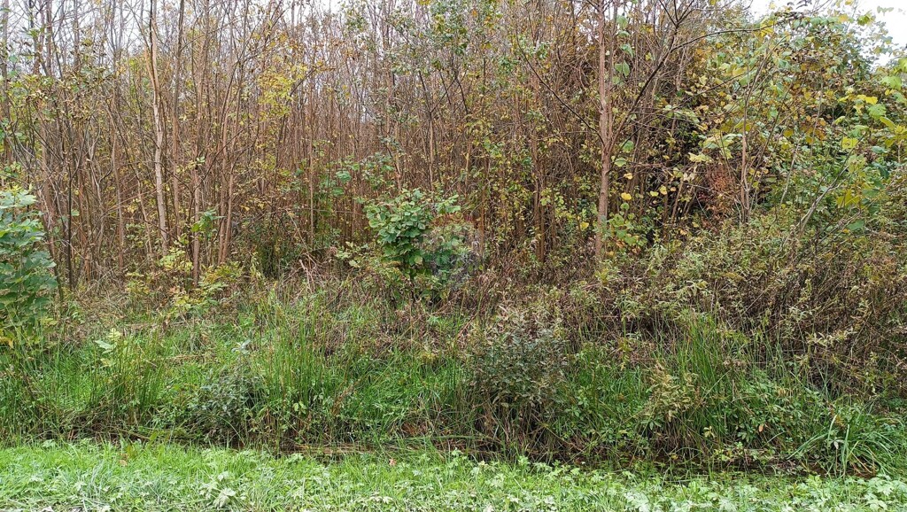 Image 6135860 - 2