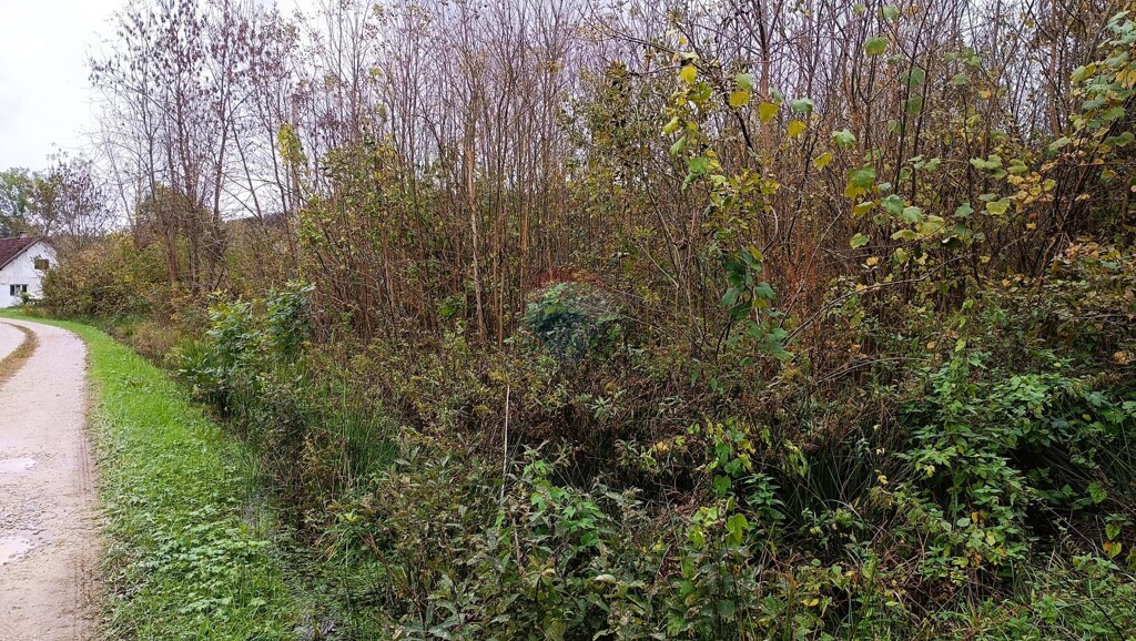 Image 6135860 - 4