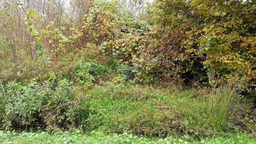 Thumbnail 6135860 - 5