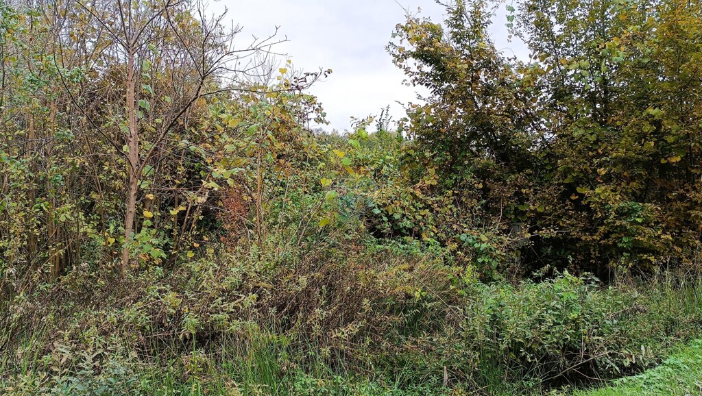 Image 6135860 - 3