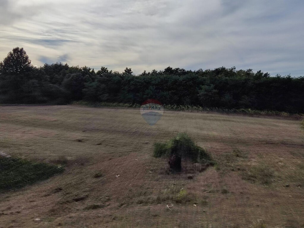 Image 6135866 - 4