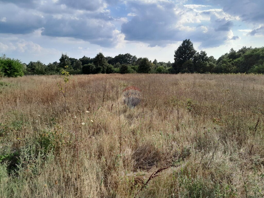 Image 6135866 - 2