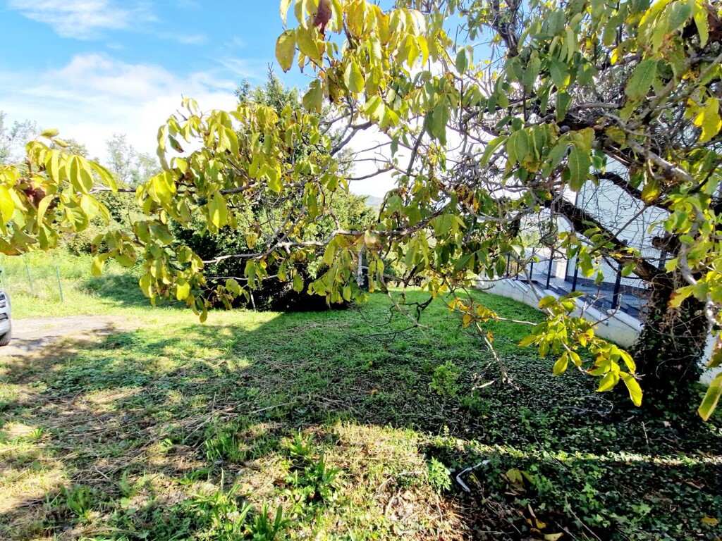 Image 6135867 - 5