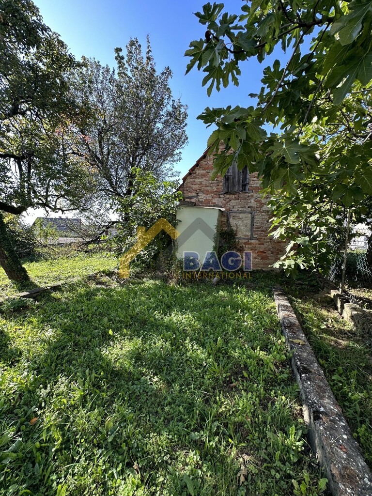Image 6136286 - 9