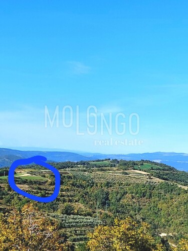 ISTRA, PAZIN - Građevinsko zemljište sa spektakularnim pogle