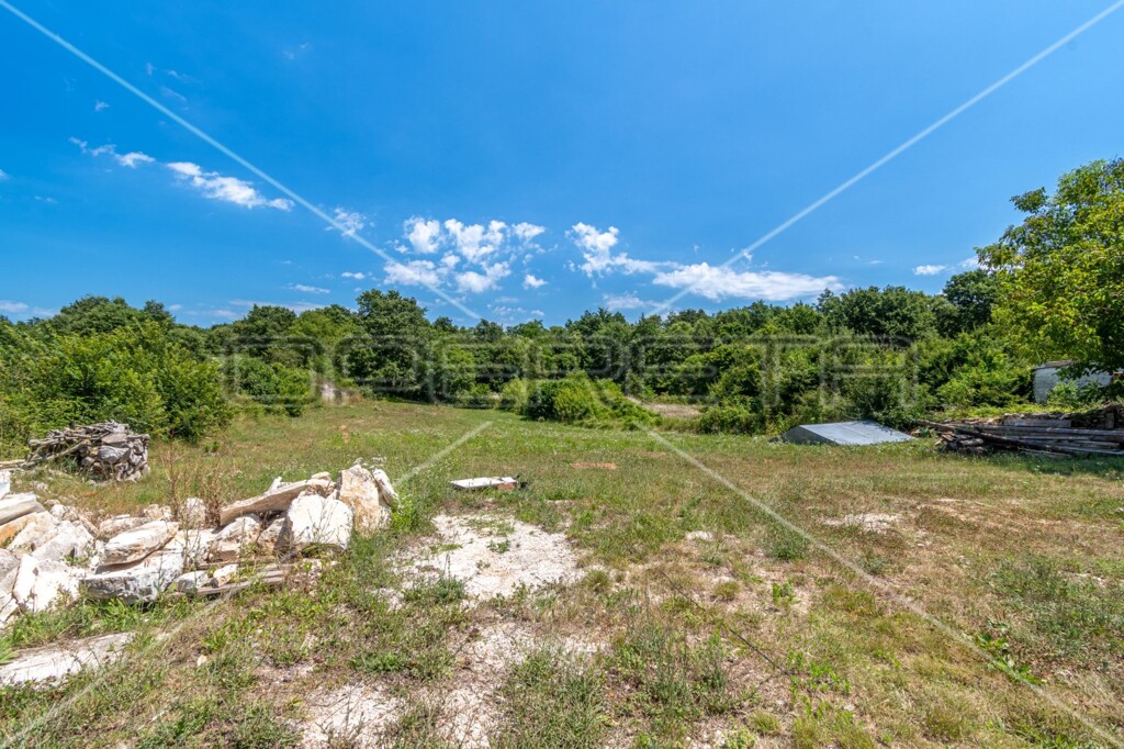 Image 6136374 - 1