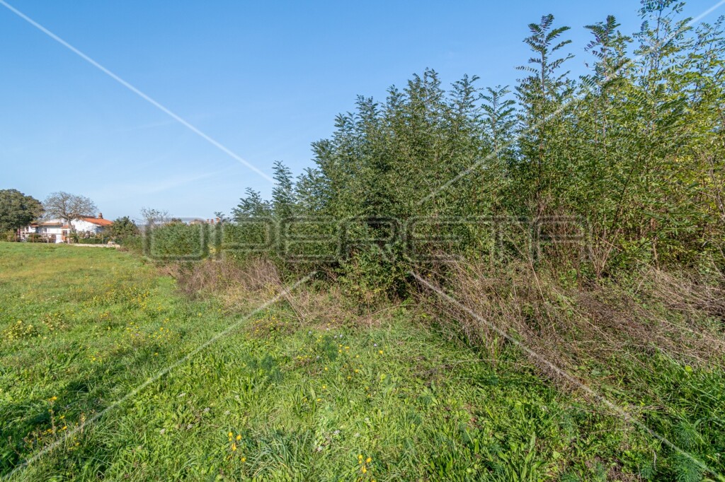 Image 6136378 - 3