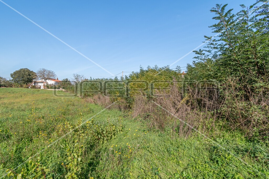 Image 6136378 - 4