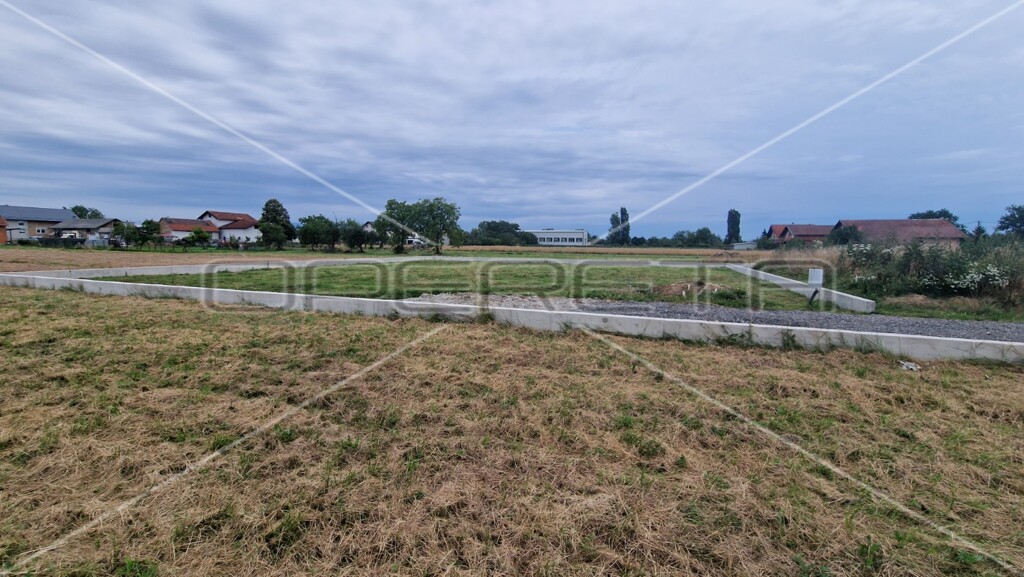 Image 6136379 - 2