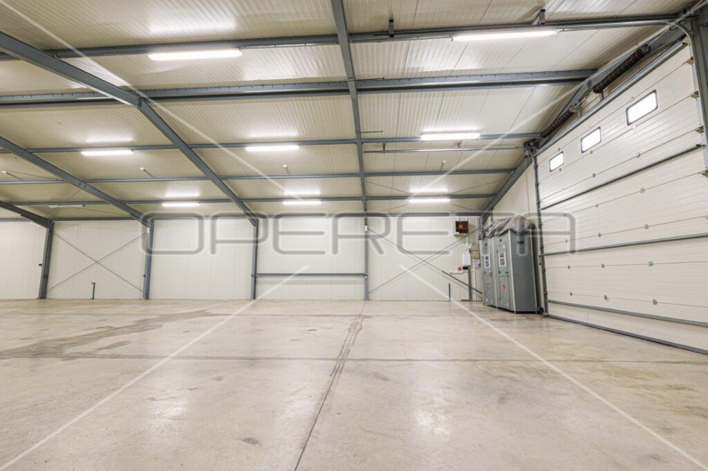 Image 6136446 - 3