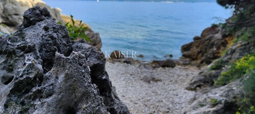 Thumbnail 6136447 - 5