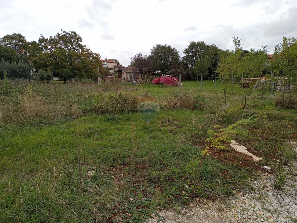 Image 6136491 - 4