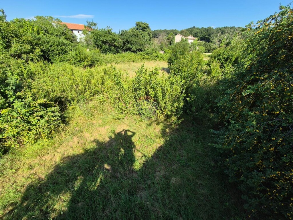 Image 6136492 - 5