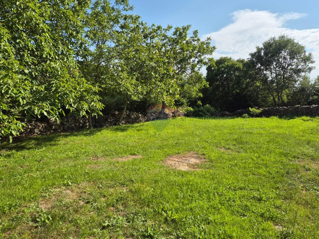 Image 6136492 - 4