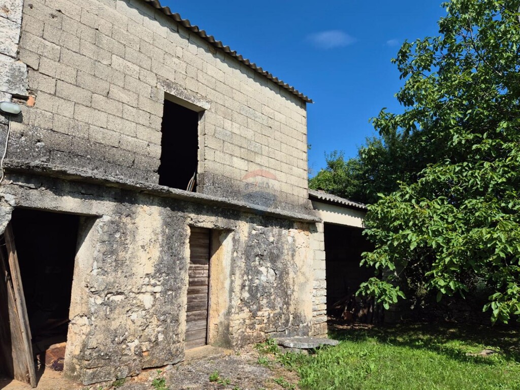 Image 6136492 - 1