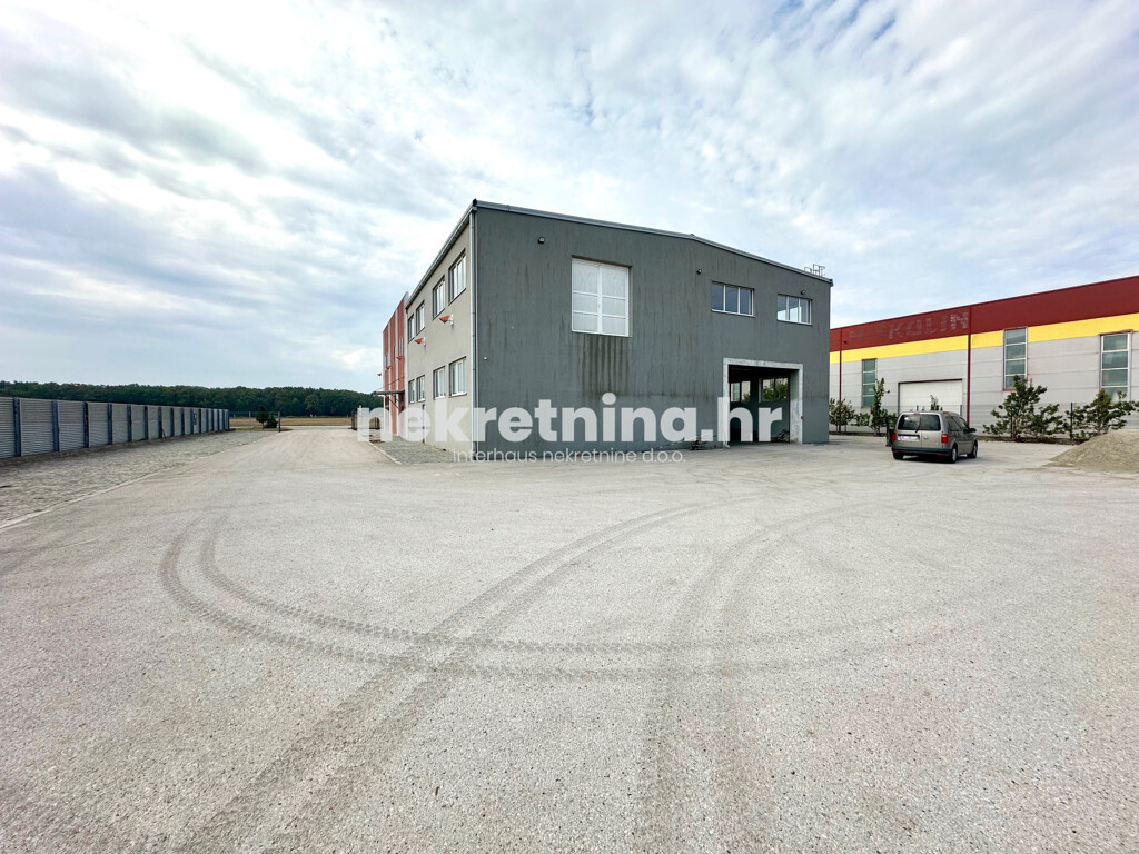 Image 6136661 - 2