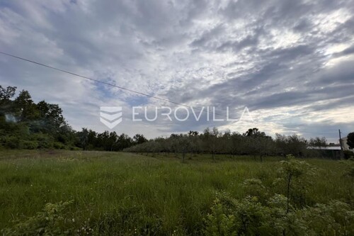 Istra, Juricani, građevinsko zemljište 860m2 u blizini Umaga
