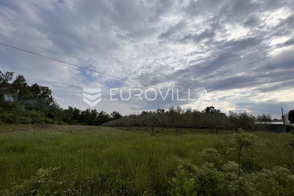 Image 6136790 - 2