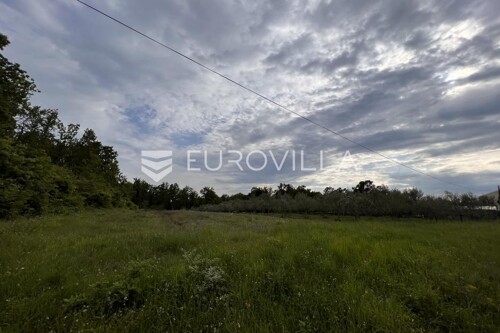 Thumbnail 6136790 - 3
