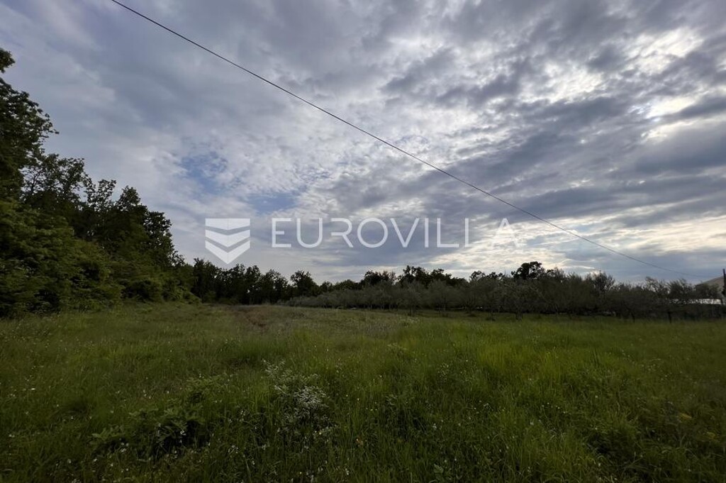 Image 6136790 - 3