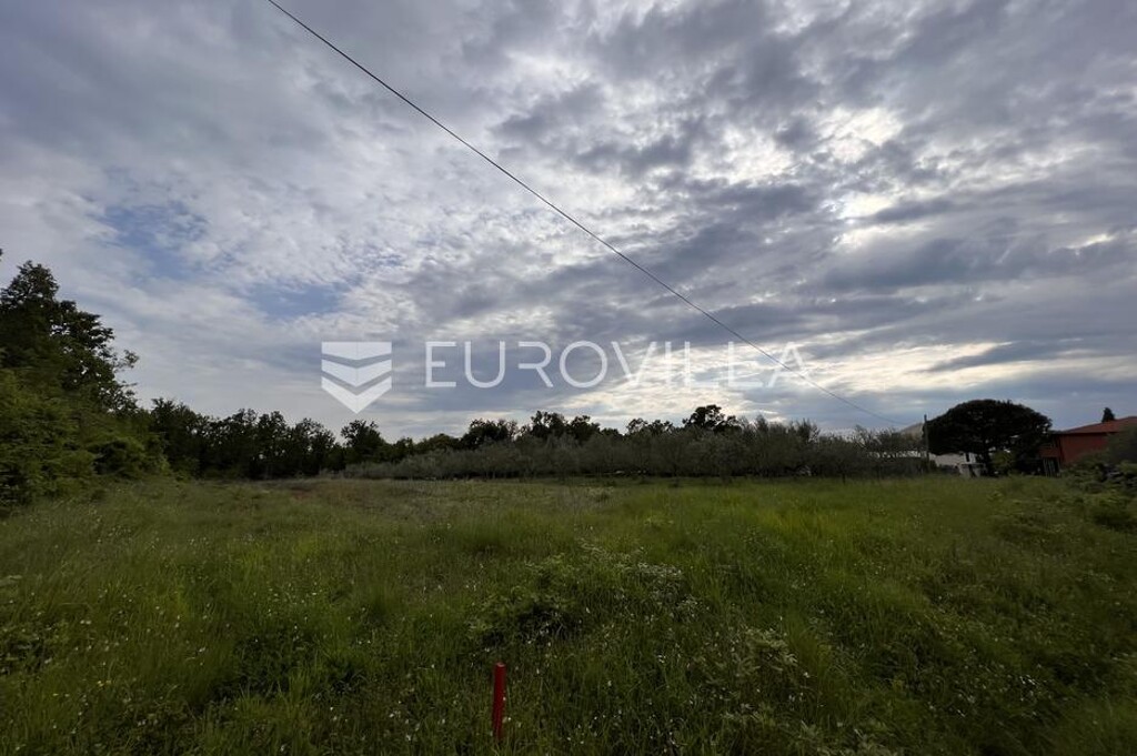 Image 6136790 - 1