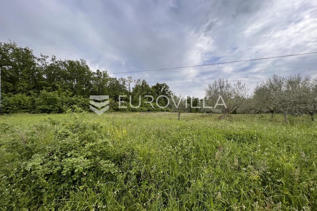 Image 6136790 - 6