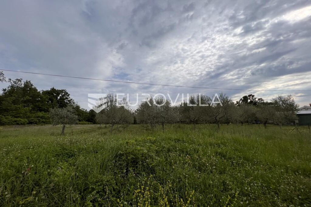 Image 6136790 - 5