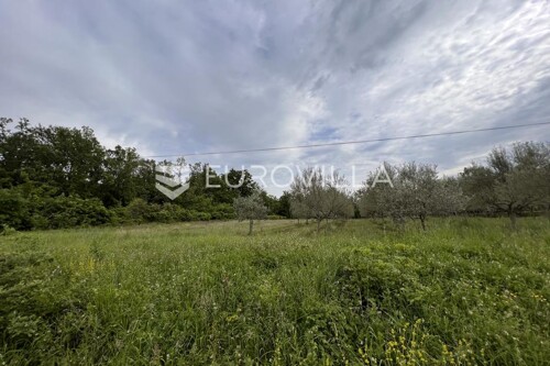 Thumbnail 6136790 - 4