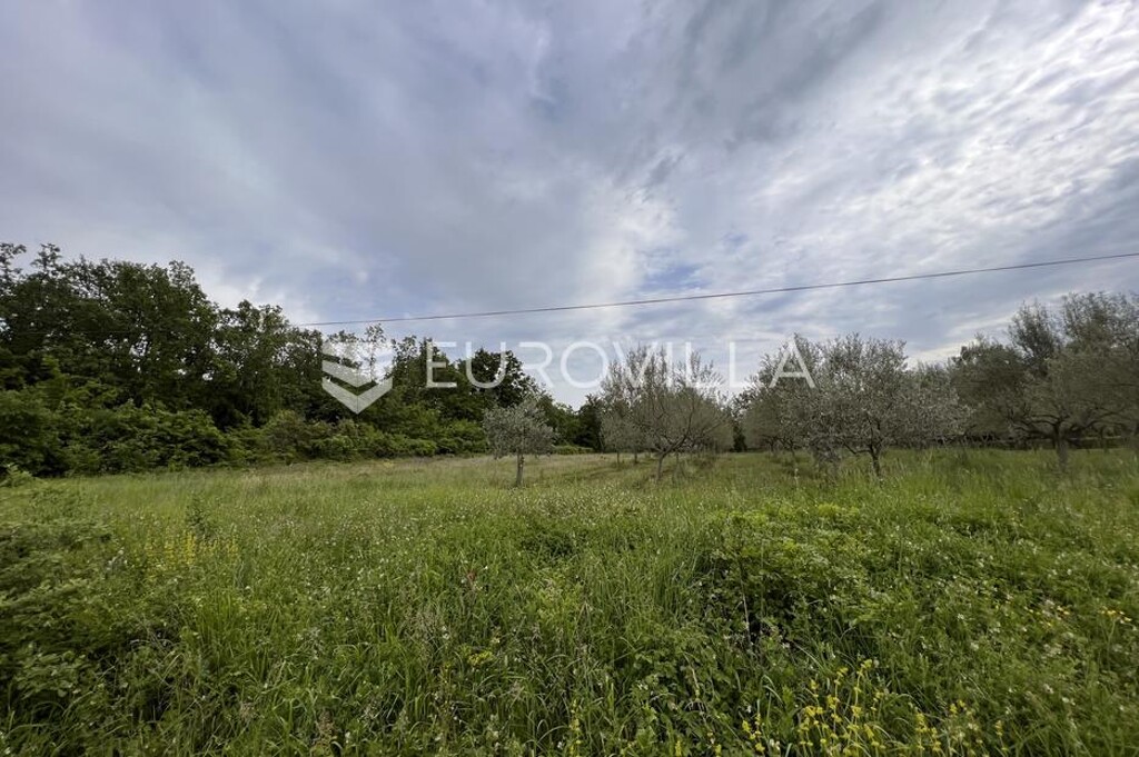 Image 6136790 - 4
