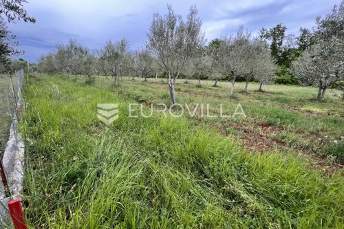 Istra, Juricani, građevinsko zemljište 860m2, okolica Umaga