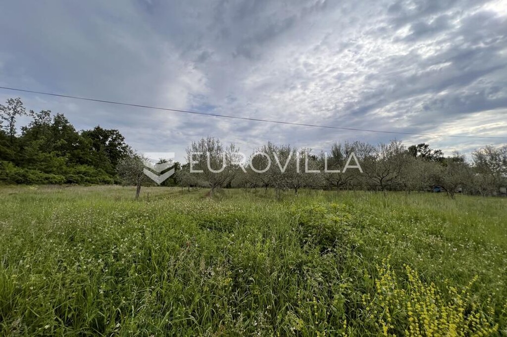 Image 6136798 - 3