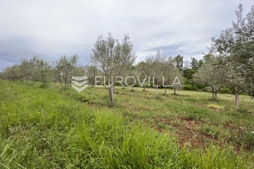 Istra, Juricani, građevinsko zemljište 860m2, okolica Umaga