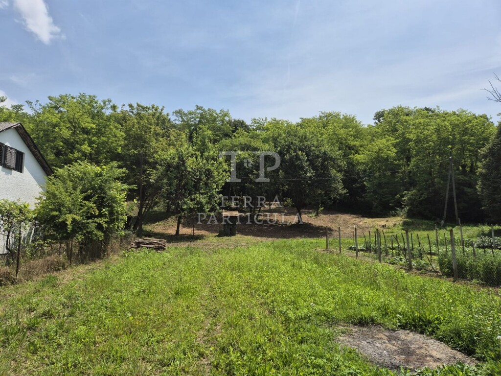 Image 6136808 - 7