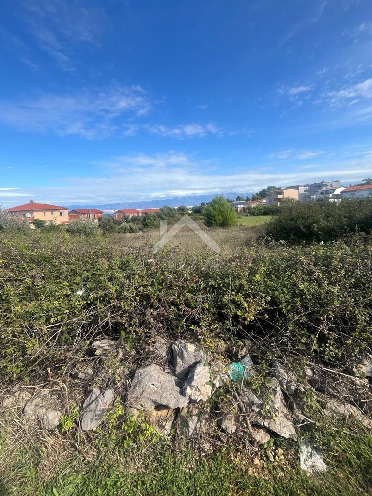 Image 6136811 - 1