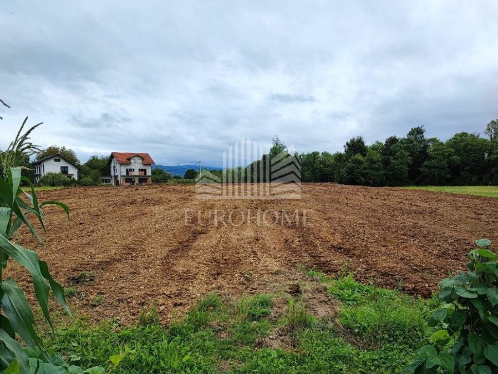 Image 6136834 - 1